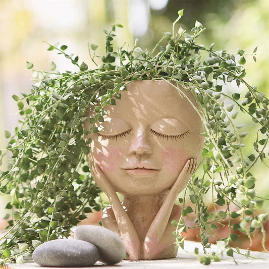 Serene Face Planter, Houseplant