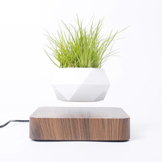 Levitating Planter Pot