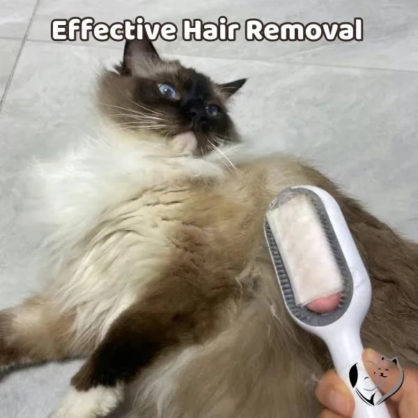 Pet Fur Removal Brush